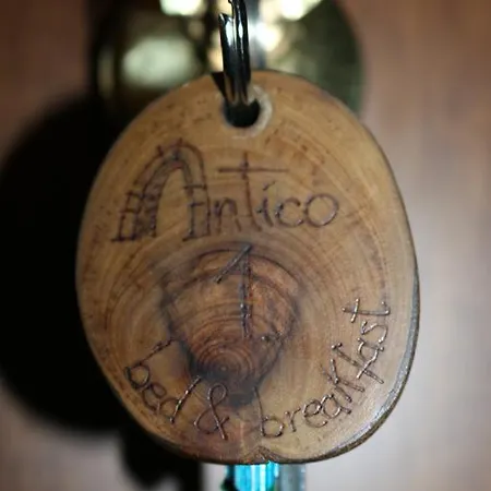 Antico فيدجيانو