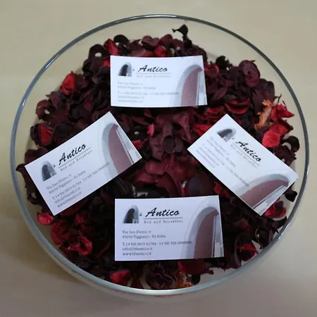 Antico فندق مبيت وإفطار فيدجيانو